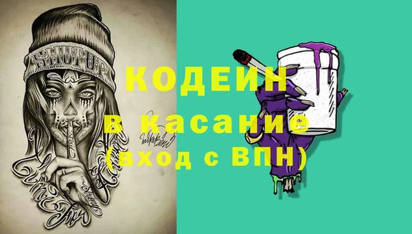 дмт Алзамай