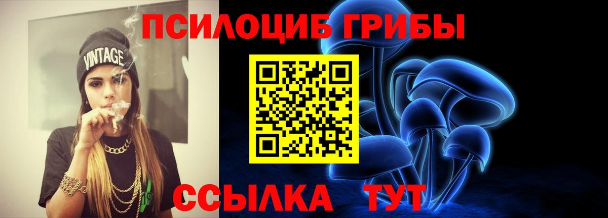 Ярцево  Псилоцибиновые грибы прущие грибы  Псилоцибиновые грибы GOLDEN TEACHER  Вход с VPN 